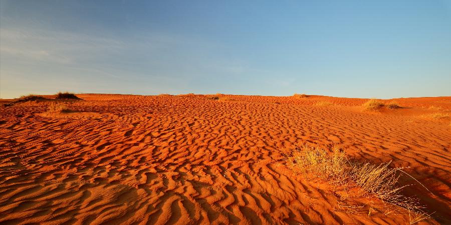 Zona desertica di Wahiba Sands